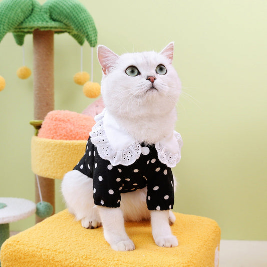 KFX-1740093 Casual Blue Ragdoll Cat T-Shirt in Black and Beige - Polyester Clothing for Pets