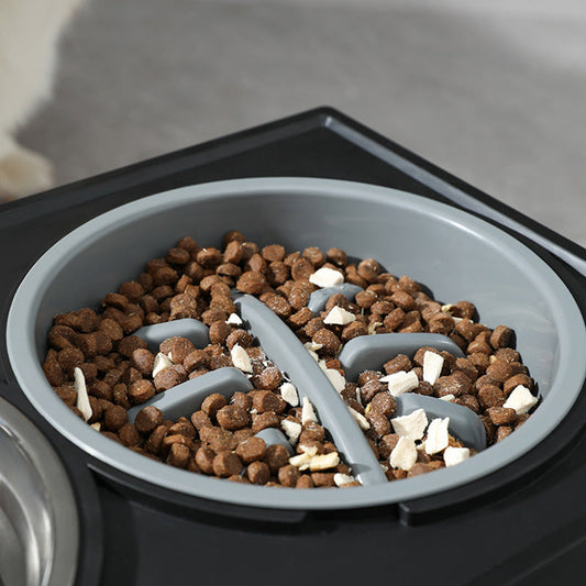 KFX-1743677 Adjustable Elevated Pet Bowl Set with Stainless Steel Double Bowl and Slow Feeder