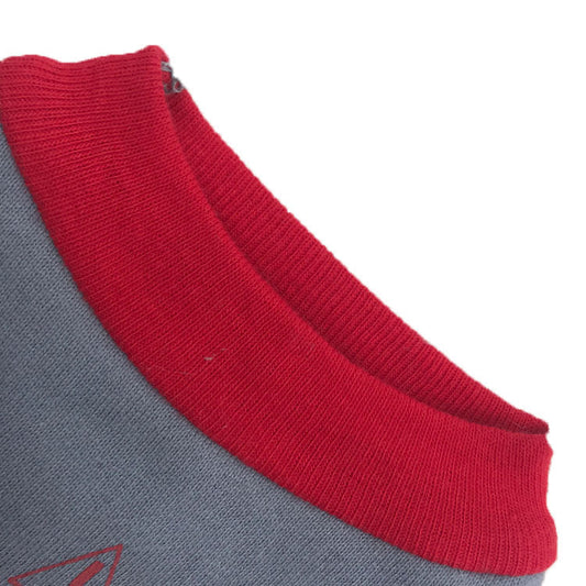 KFX-1745853 Flannelette Pet Vest in Grey with Colorful Edges - Multiple Sizes Available