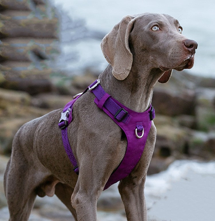 KFX-1752509 Adjustable Dog Harness with Traction Rope - Durable Oxford, Mesh, and Nylon for Outdoor Walking and Training