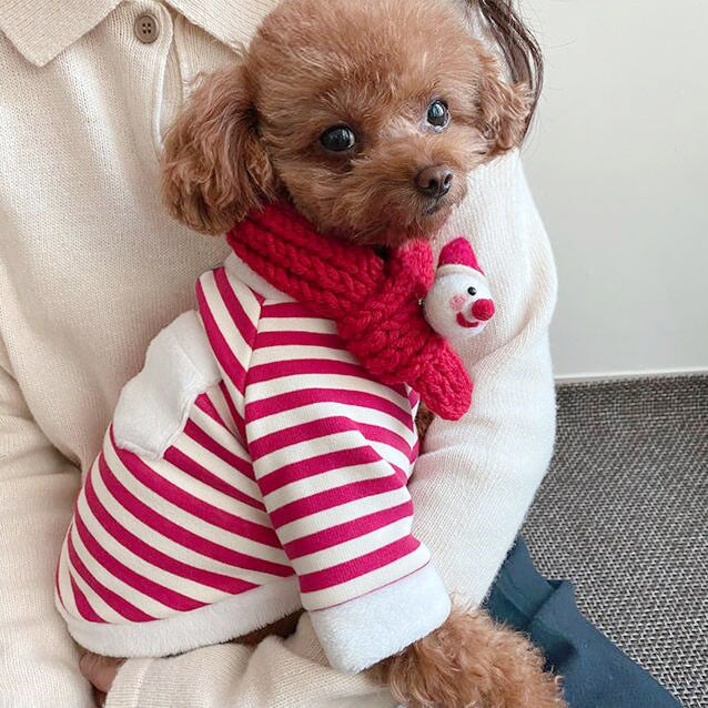 KFX-1767101 Christmas Dog Clothes Set with Red Stripes and Scarf for Stylish Pet Outfits