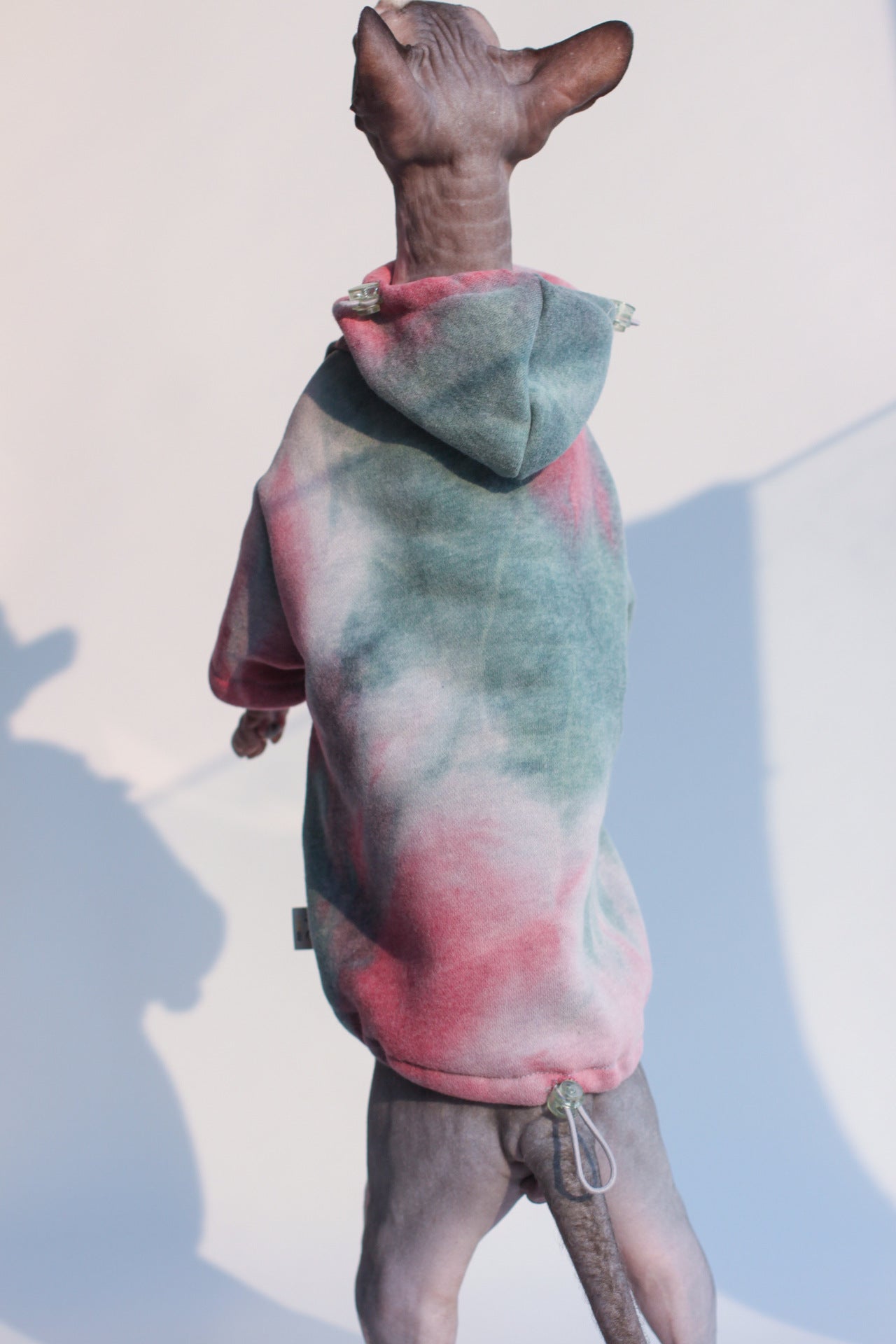 KFX-1769789 Hooded Tie-Dye Sweater for Pets - Cotton Warmth for Cats and Dogs in Autumn/Winter