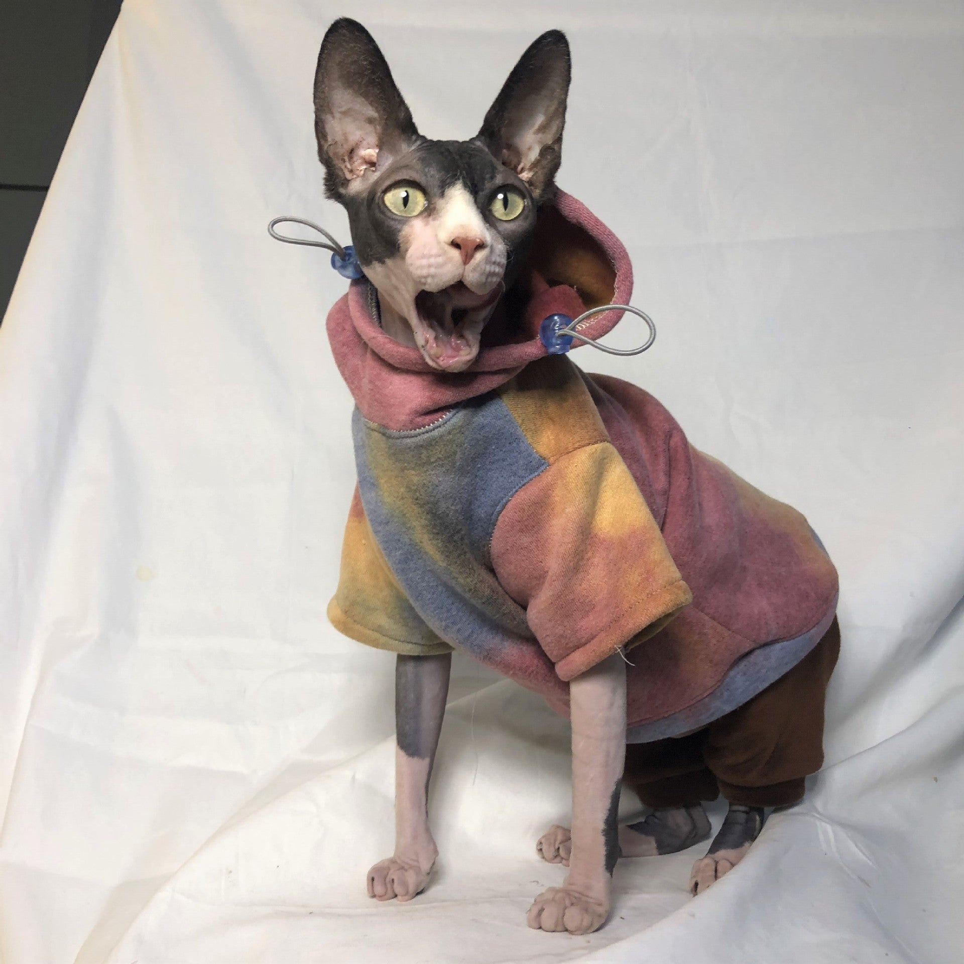 KFX-1769789 Hooded Tie-Dye Sweater for Pets - Cotton Warmth for Cats and Dogs in Autumn/Winter