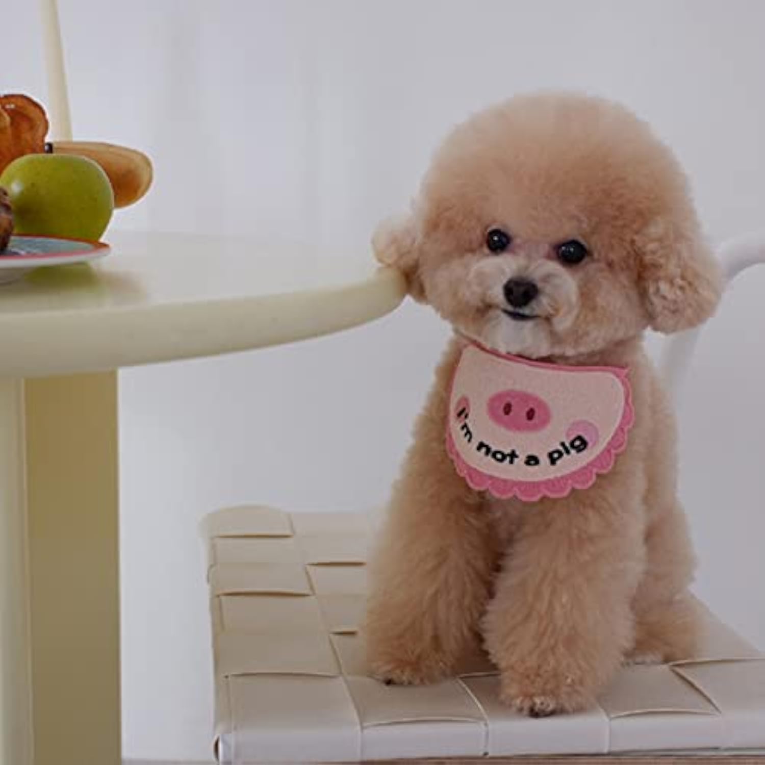 KFX-1771965 Super Soft Crocheted Cat Towel with Adorable Pig Decoration for Pets