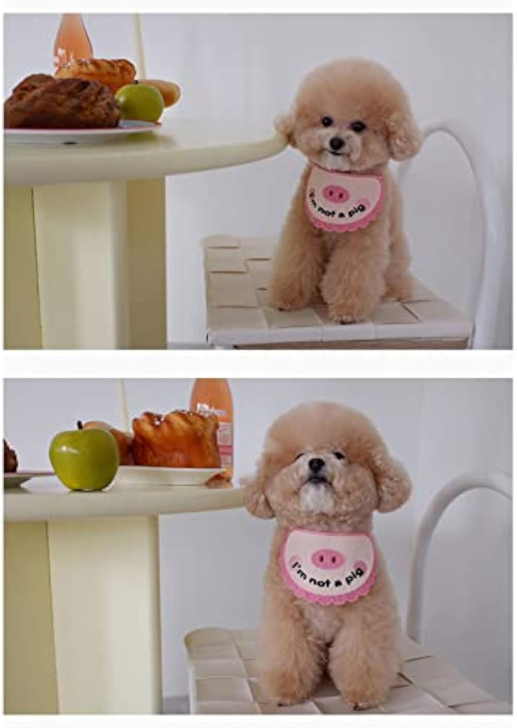 KFX-1771965 Super Soft Crocheted Cat Towel with Adorable Pig Decoration for Pets