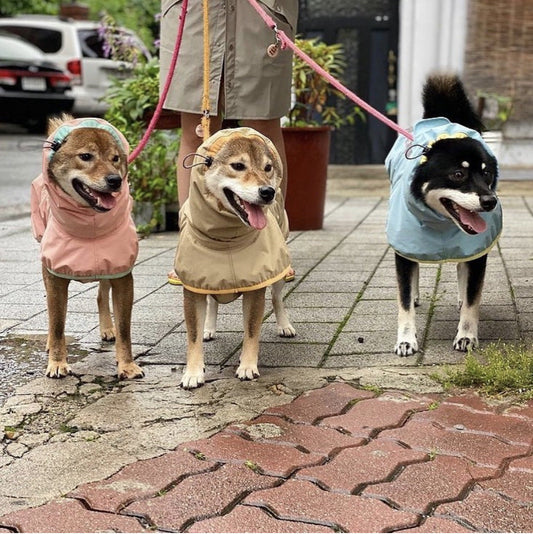 KFX-1772093 Large Dog Raincoat - Waterproof Polyester, Spliced Design in Multiple Colors and Sizes