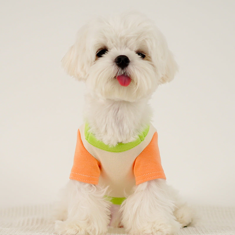 KFX-1775037 Colour Blocked Polyester Dog Shirt - Powder Blue & Green Orange, Fashion Minimalist Style