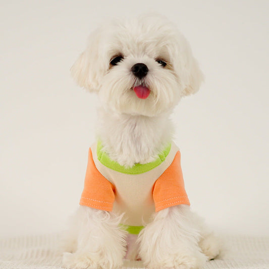 KFX-1775037 Colour Blocked Polyester Dog Shirt - Powder Blue & Green Orange, Fashion Minimalist Style