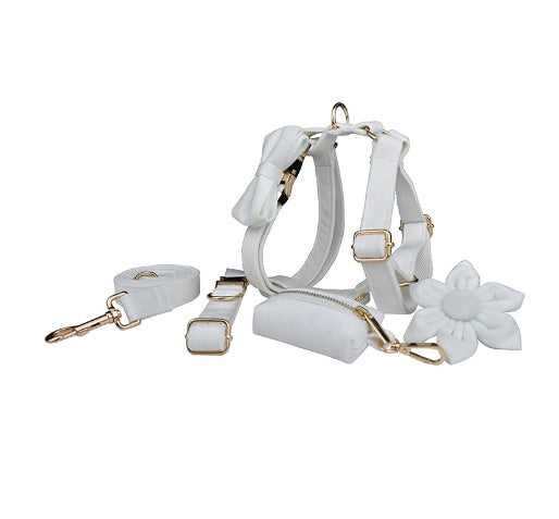 KFX-1779517 Fabric Velvet Dog Collar with Accessories - Adjustable and Stylish