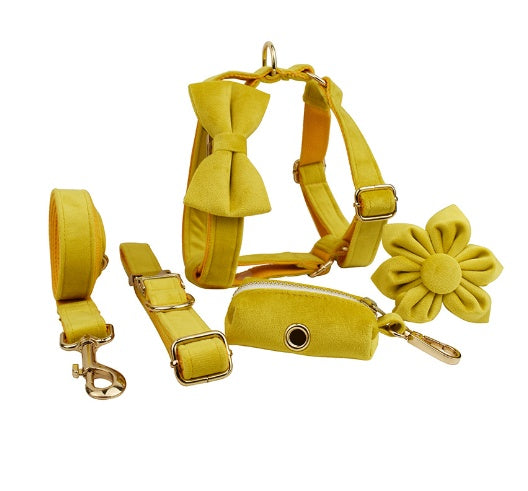 KFX-1779517 Fabric Velvet Dog Collar with Accessories - Adjustable and Stylish