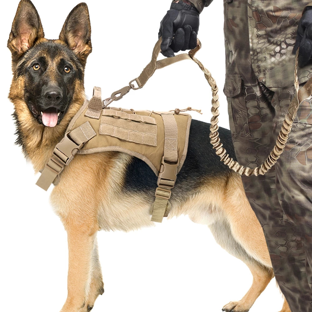 KFX-1785789 Retractable Elastic Dog Traction Rope for Outdoor Training - Anti-Skid & Ergonomic Design
