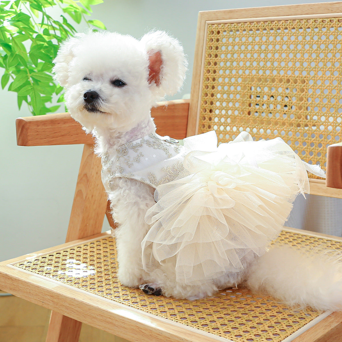 KFX-1790525 Spring and Summer Thin Dress for Dogs and Cats - Casual Wedding Outfit in Multiple Sizes