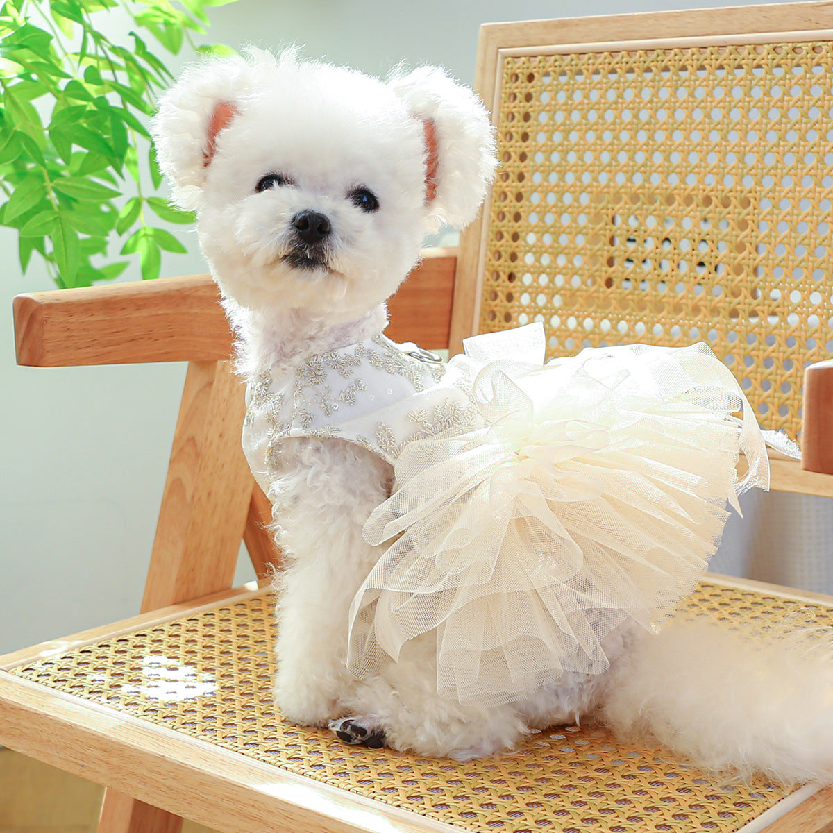 KFX-1790525 Spring and Summer Thin Dress for Dogs and Cats - Casual Wedding Outfit in Multiple Sizes