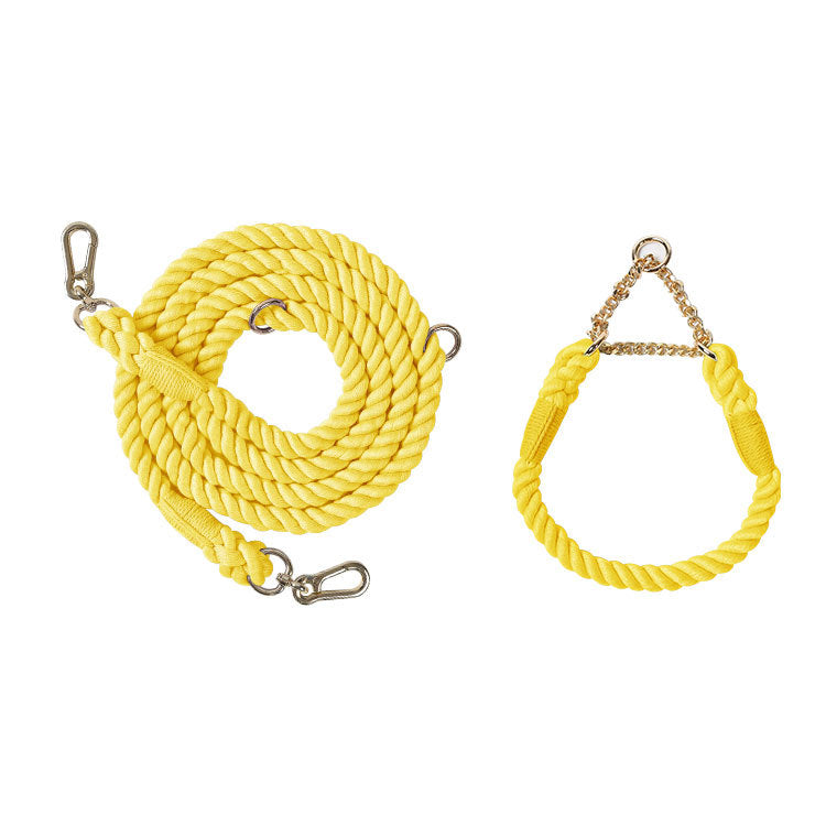 KFX-1791549 Multifunctional Double Head Pet Leash with Rainbow and Mint Green Options