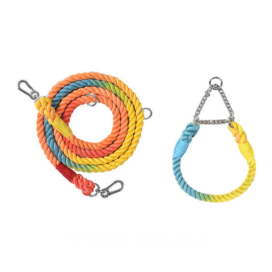 KFX-1791549 Multifunctional Double Head Pet Leash with Rainbow and Mint Green Options