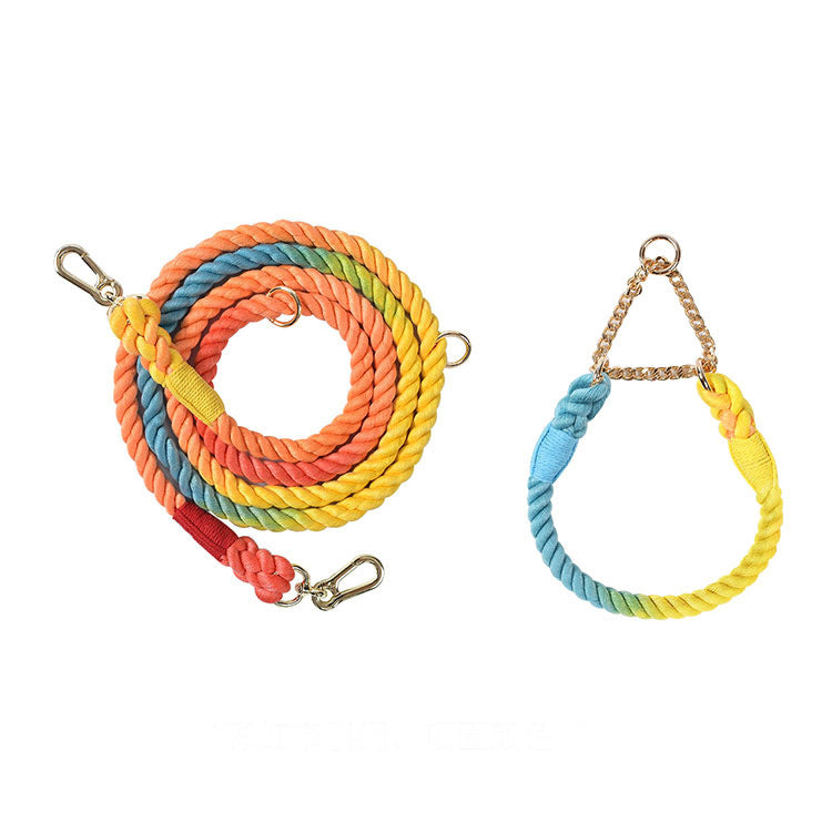 KFX-1791549 Multifunctional Double Head Pet Leash with Rainbow and Mint Green Options