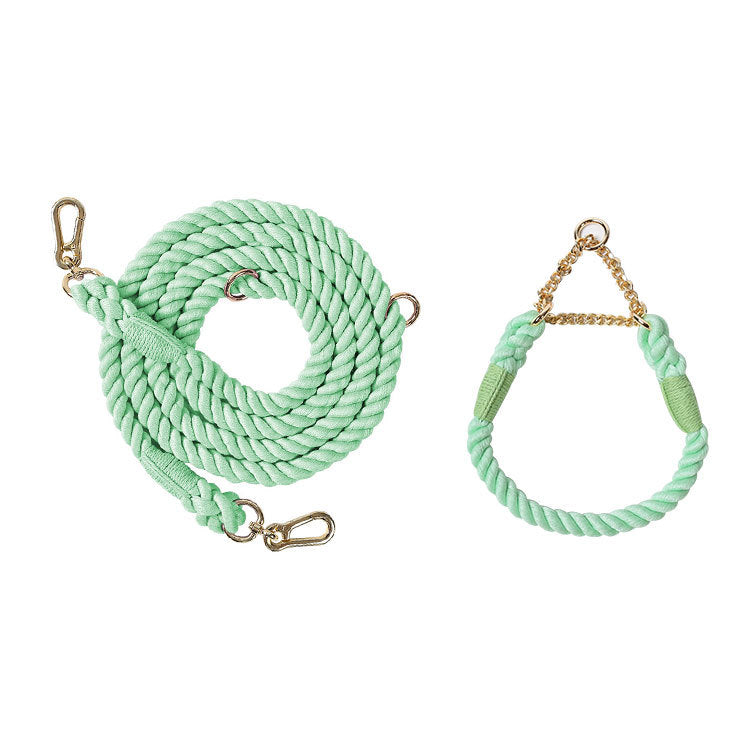 KFX-1791549 Multifunctional Double Head Pet Leash with Rainbow and Mint Green Options