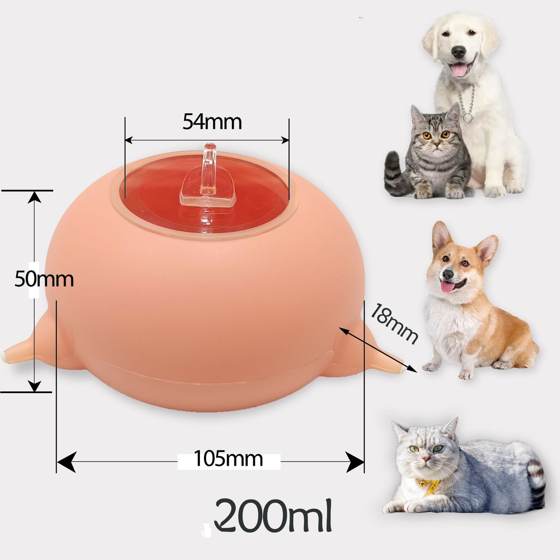 KFX-1792573 Silicone Pet Bowl with Molar Training Design for Dogs and Cats