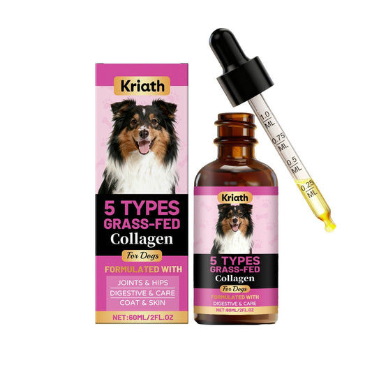 KFX-1797565 Comprehensive Dog Collagen Drops with Probiotics and Joint Support Ingredients
