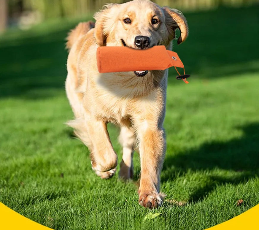 KFX-1800125 Personalized Decompression Dog Toy in Red, Green, or Orange - Canvas Material, 6*19CM & 7*25CM Sizes