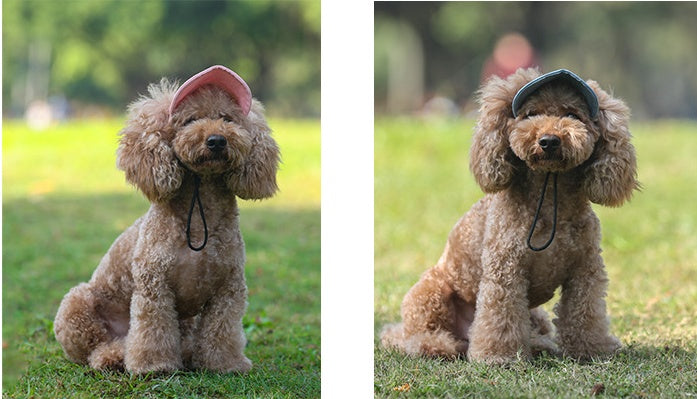 KFX-1804861 Canvas Parent-Child Outdoor Picnic Caps - Available in Black, Pink, and Blue for Pets and Owners
