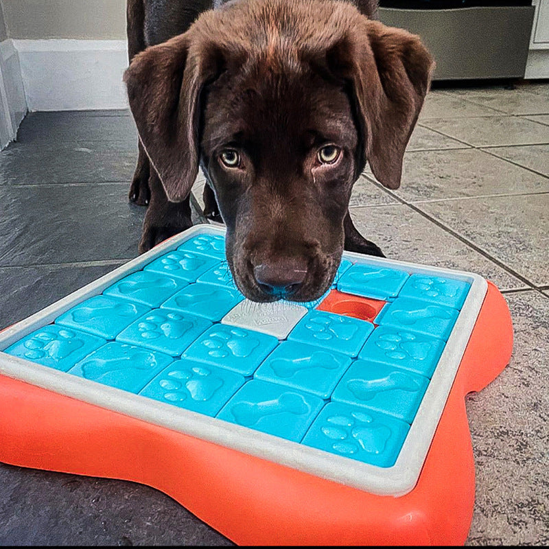 KFX-1808061 Interactive Hidden Food Puzzle Toy for Dogs - 38x38cm Plastic Design