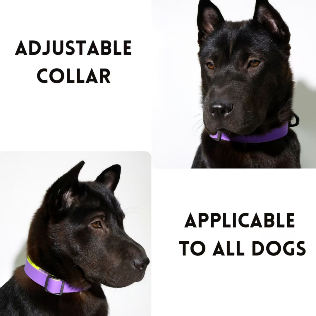 KFX-1812797 Honeycomb Embossed Dual-Color Waterproof Dog Leash Set with Enhanced Grip
