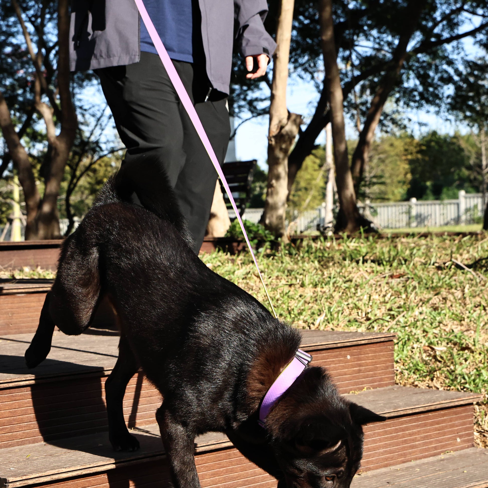 KFX-1812797 Honeycomb Embossed Dual-Color Waterproof Dog Leash Set with Enhanced Grip
