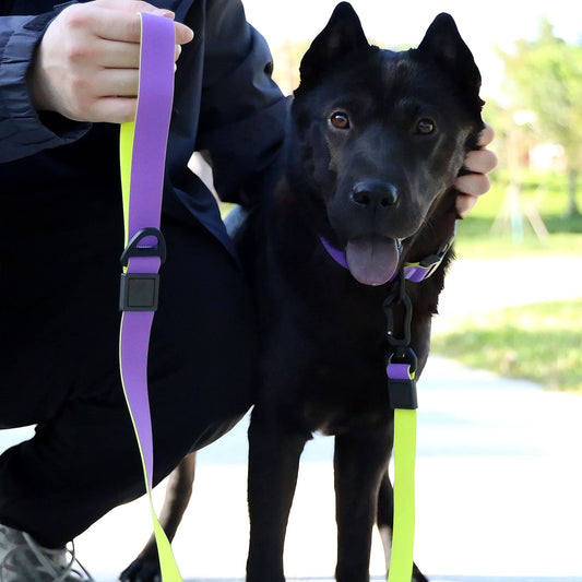 KFX-1812797 Honeycomb Embossed Dual-Color Waterproof Dog Leash Set with Enhanced Grip