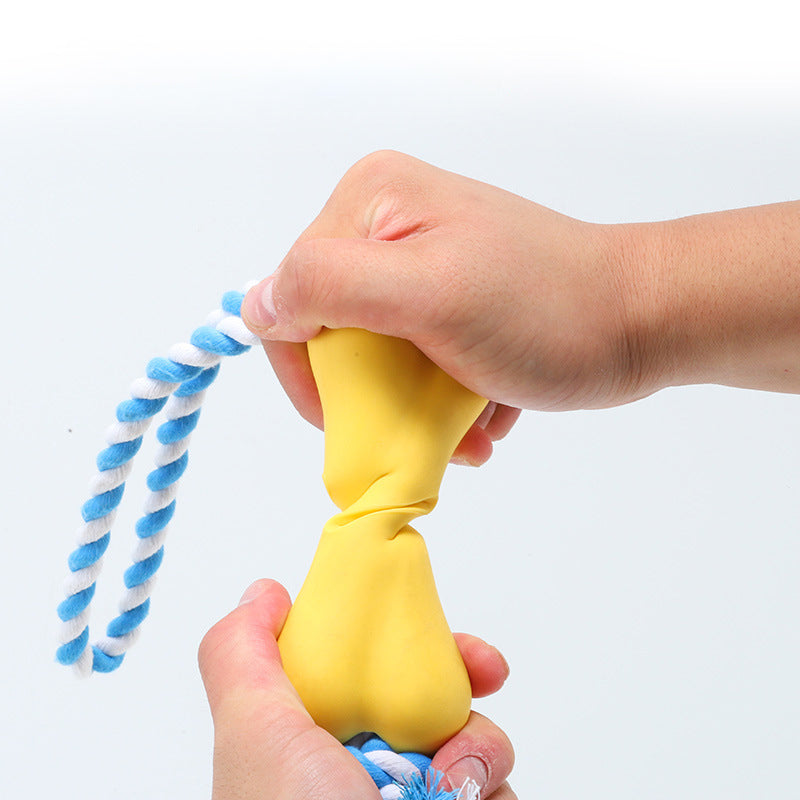 KFX-1816253 Durable Pet Chew Toy with Porous Design for Boredom Relief and Treat Dispensing