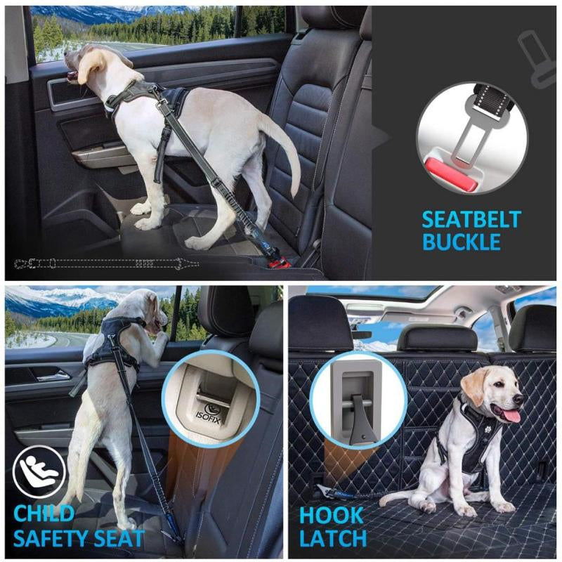 KFX-1818557 Multifunctional Reflective Elastic Seat Belt for Pets - Nylon, 54-90cm Length, 2.5cm Width