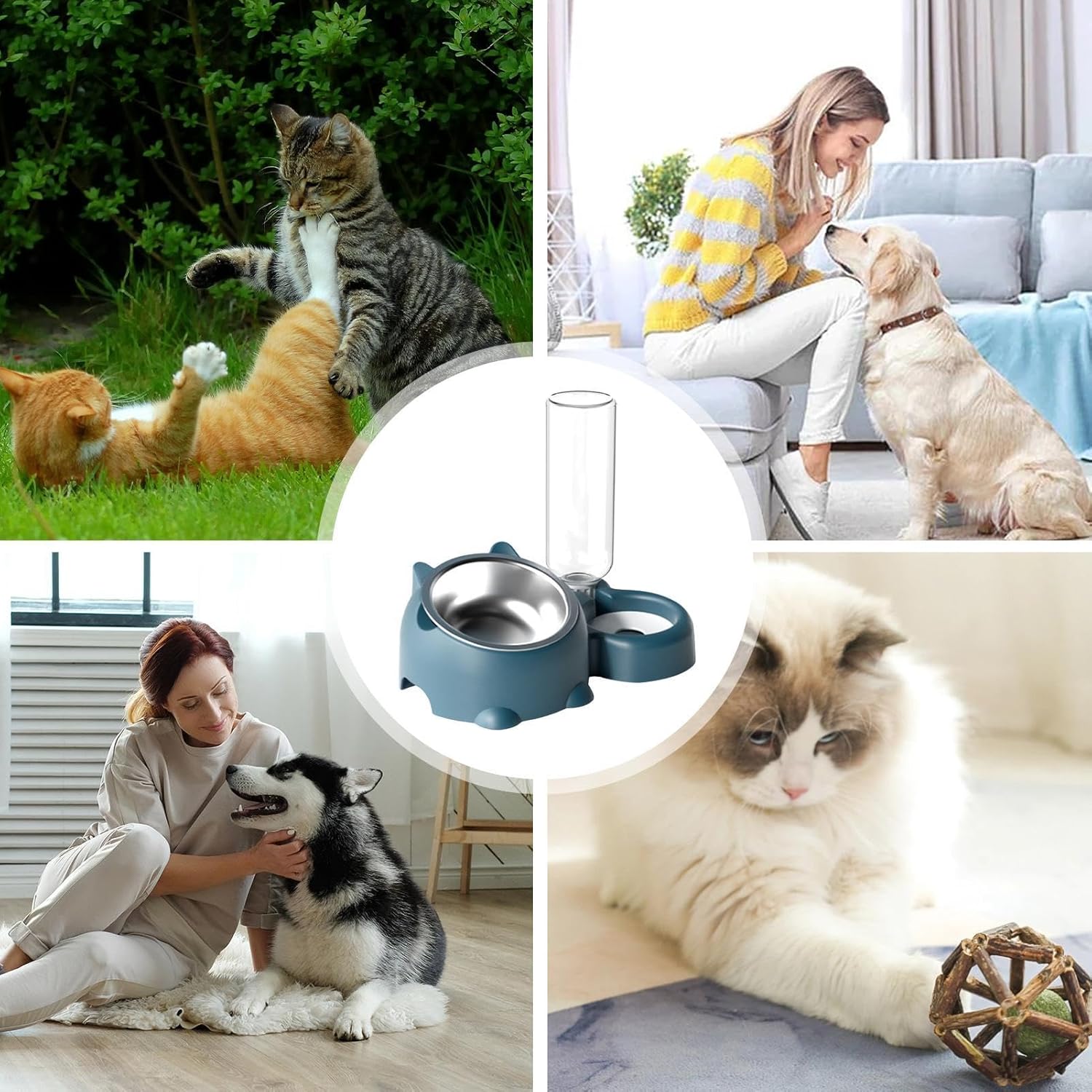 KFX-1818941 Tilted Pet Feeding Set with Removable Water Dispenser Bowl for Dogs and Cats