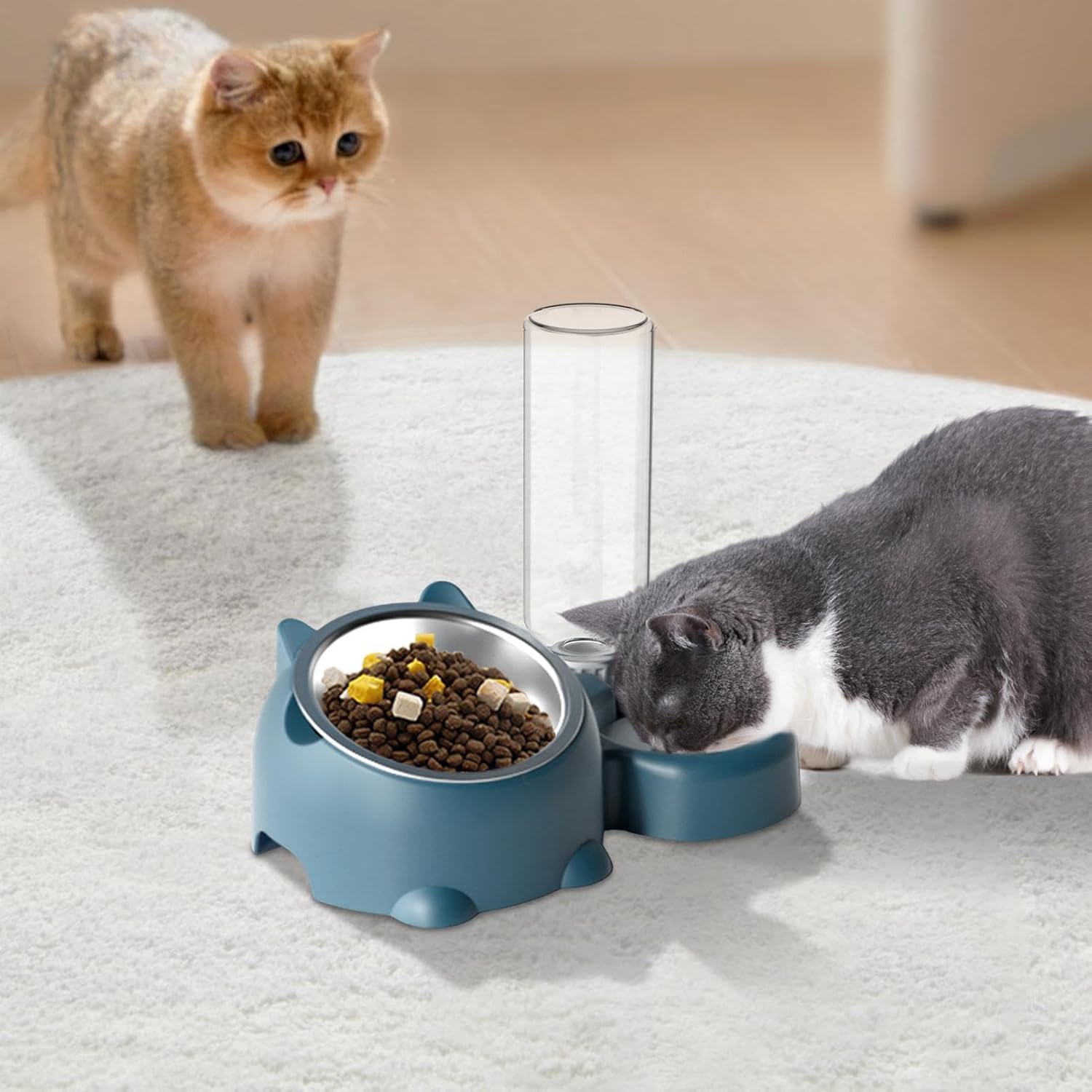 KFX-1818941 Tilted Pet Feeding Set with Removable Water Dispenser Bowl for Dogs and Cats