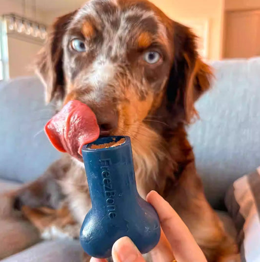 KFX-1828285 Durable Natural Rubber Dog Toy for Stress Relief and Force Feeding