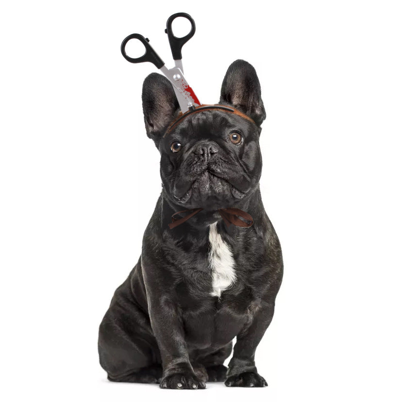 KFX-1828669 Halloween Pet Headgear for Dogs and Cats - Cute Cloth Headdresses for Festive Fun