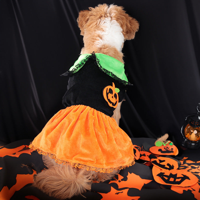 KFX-1836605 Classic Halloween Pumpkin Skirt Costume for Dogs and Cats - Crystal Velvet Pet Clothing