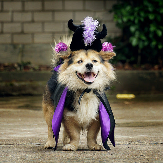 KFX-1837629 Demon Bat Cloak and Cape Hat Costume for Cats and Dogs