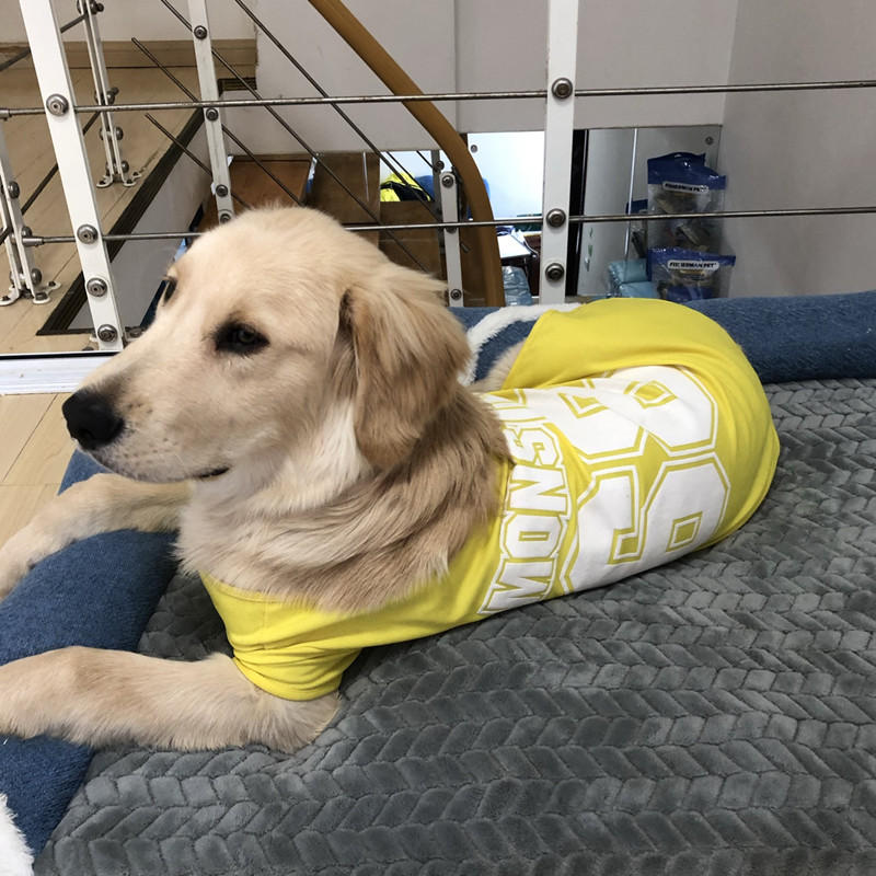 KFX-1844157 Lightweight Summer Dog Vest - Breathable Quick Drying Sports Tank Tops in Various Colors and Sizes