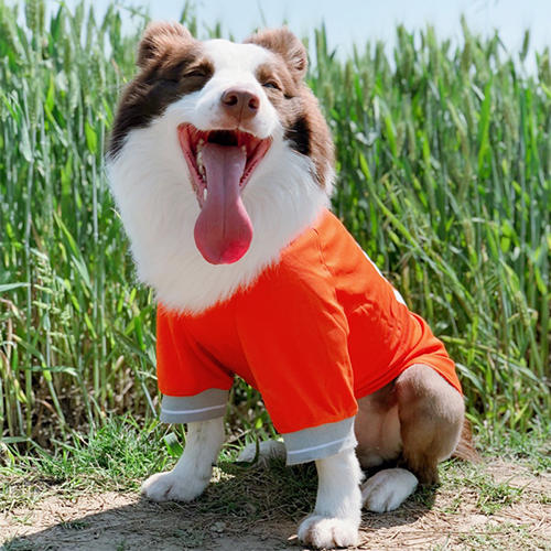 KFX-1844157 Lightweight Summer Dog Vest - Breathable Quick Drying Sports Tank Tops in Various Colors and Sizes