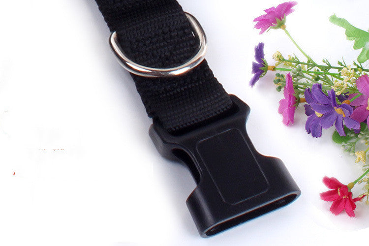KFX-1851325 Cushioned Stretch Nylon Dog Leash with Hands-Free Design and Extra Storage Ring