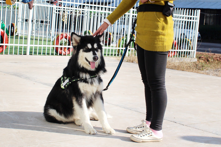 KFX-1851325 Cushioned Stretch Nylon Dog Leash with Hands-Free Design and Extra Storage Ring