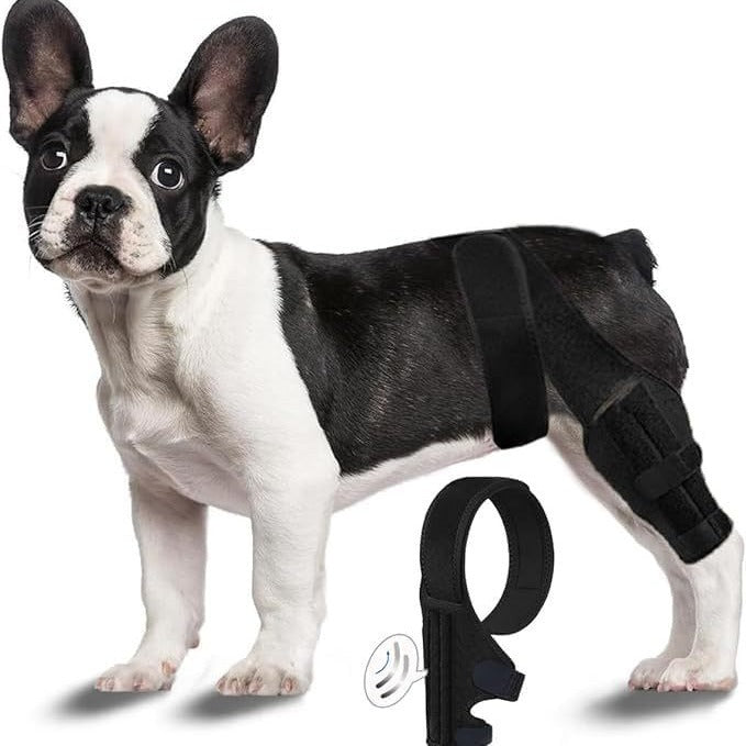 KFX-1854141 Dog Leg Injury Support Rehabilitation Belt - Black Polyester, Available in XS to L