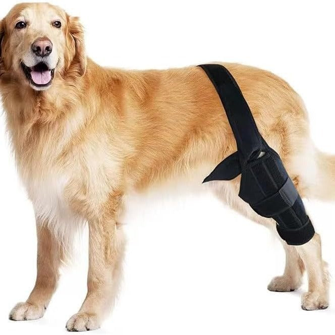 KFX-1854141 Dog Leg Injury Support Rehabilitation Belt - Black Polyester, Available in XS to L