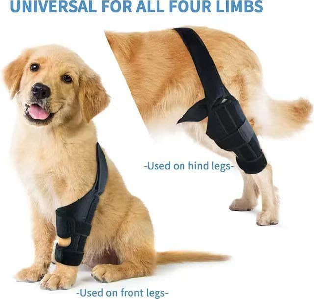 KFX-1854141 Dog Leg Injury Support Rehabilitation Belt - Black Polyester, Available in XS to L