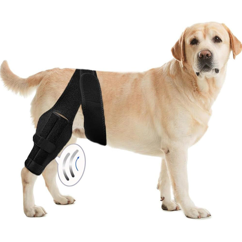 KFX-1854141 Dog Leg Injury Support Rehabilitation Belt - Black Polyester, Available in XS to L
