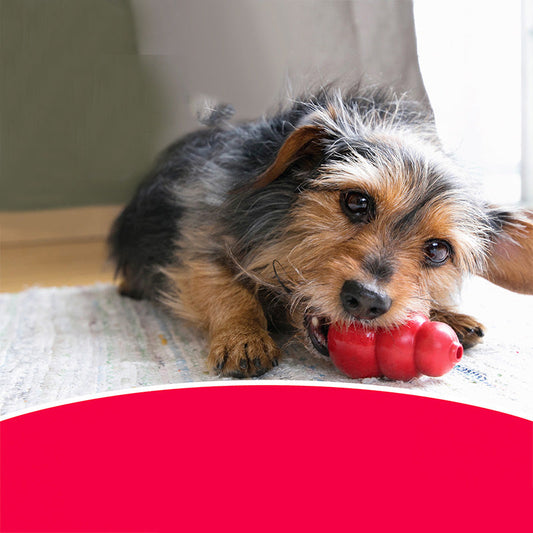 KFX-1857085 Natural Rubber Dog Toy with Knot Design for Clean Teeth and Durable Biting