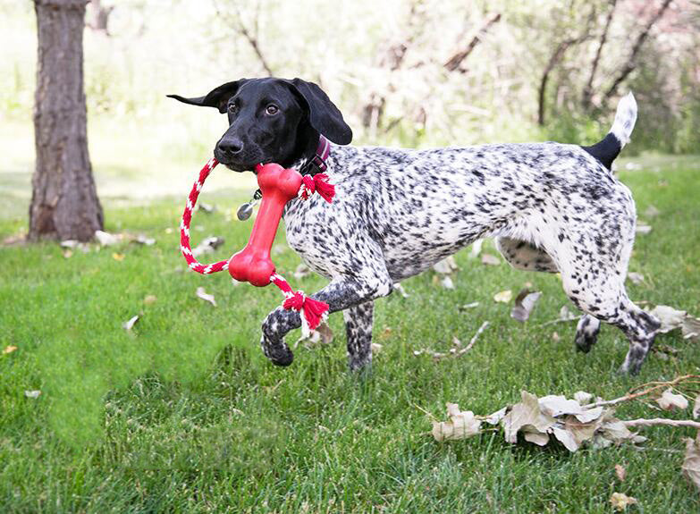 KFX-1857085 Natural Rubber Dog Toy with Knot Design for Clean Teeth and Durable Biting