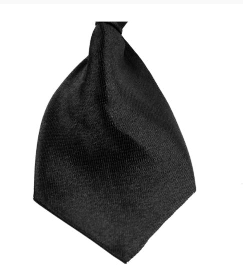 KFX-1862077 Dog Graduation Cap and Adjustable Tie Set for Small and Medium Pets