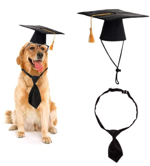 KFX-1862077 Dog Graduation Cap and Adjustable Tie Set for Small and Medium Pets