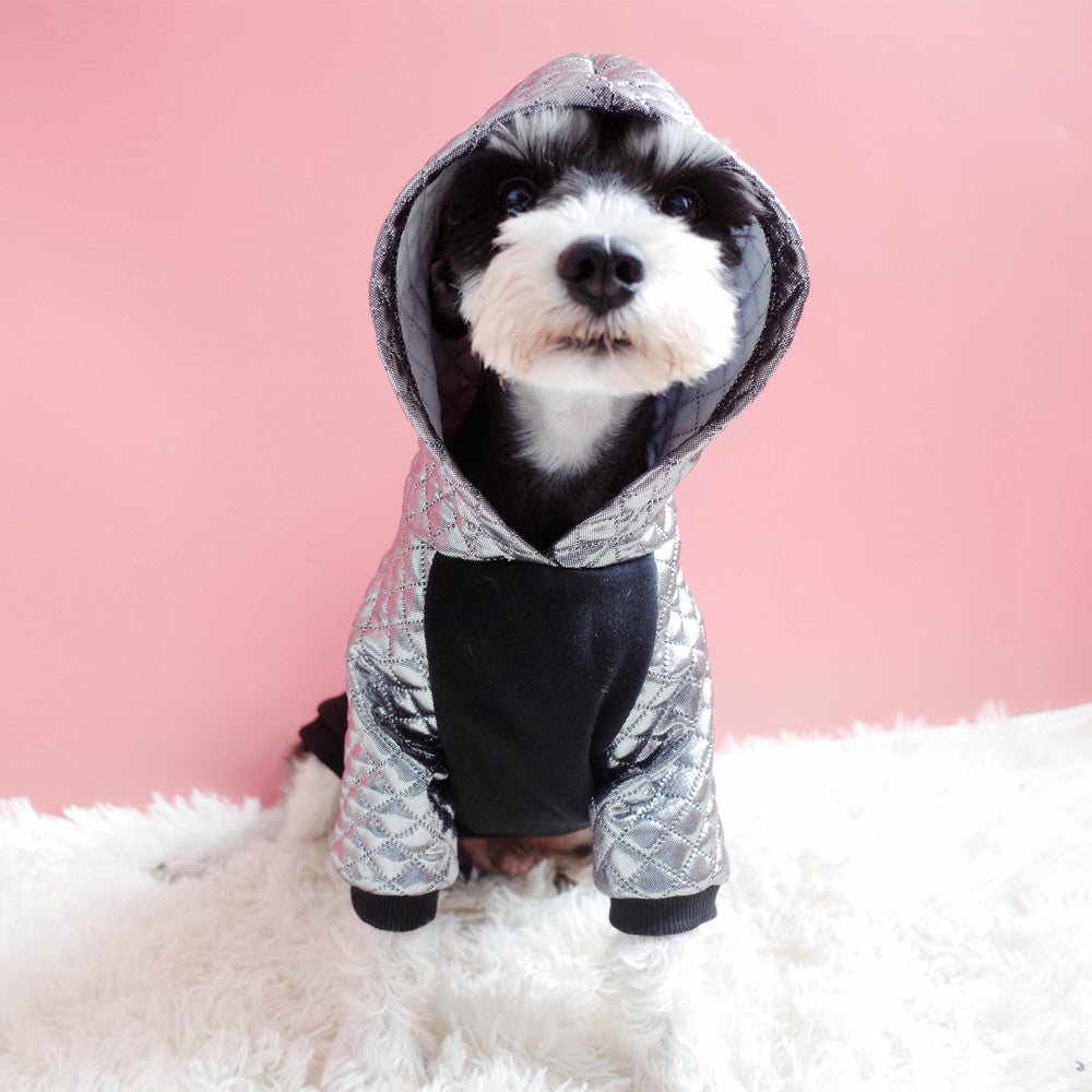 KFX-1862333 Cozy Black and Silver Plus Velvet Sweater for Dogs